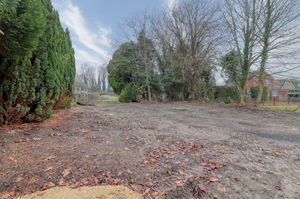 Photo 15- click for photo gallery